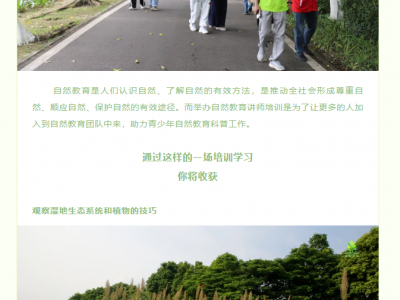 自然教育培训丨燕岭湿地植物认知与利用
