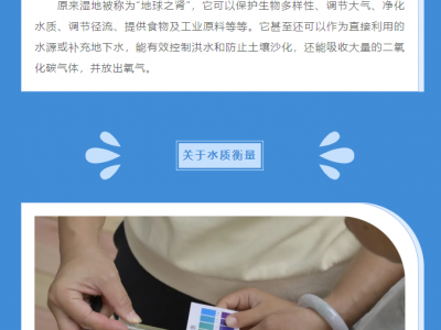【活动回顾】世界水日特别行动：小小湿地水质调查员启航！