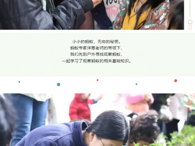 活动回顾：“小蚂蚁大奥秘”——蚂蚁科普活动