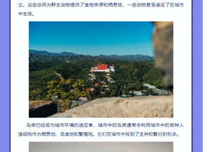 活动回顾 | 我们与城市，这么近，那么远——何鑫老师鸟类科普线上讲座