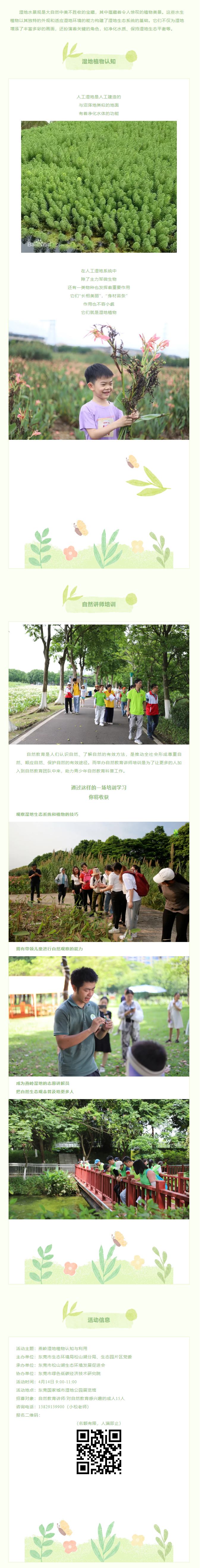 自然教育培训丨燕岭湿地植物认知与利用